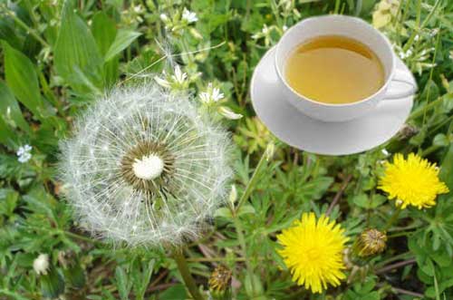 Tư vấn bạn đọc biết uống gì để mát gan giải độc? 2 bo cong anh 5